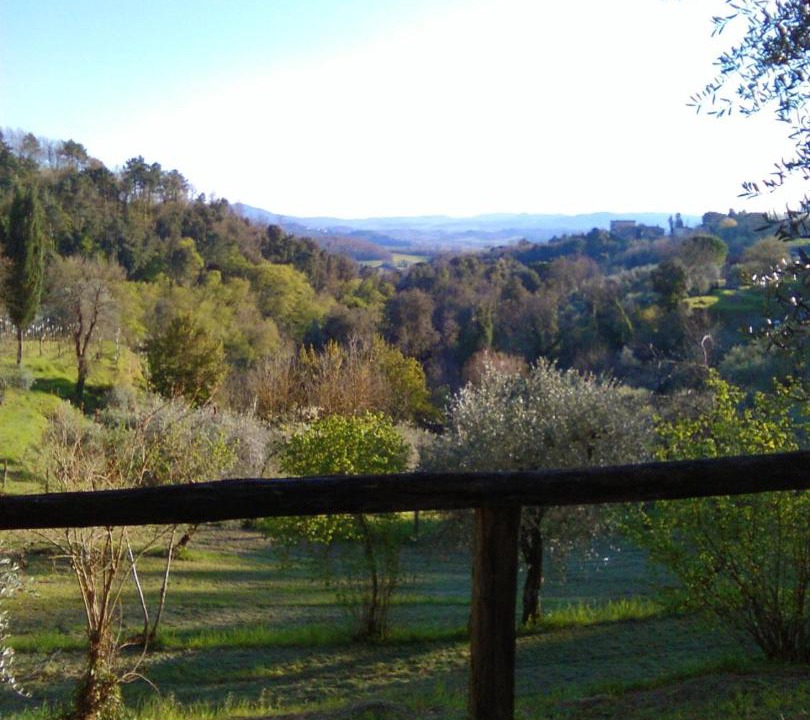 Photo of Outdoor in Palaia