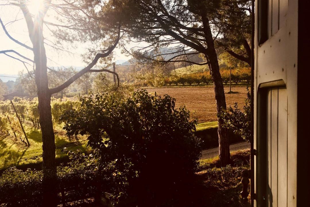 Photo of Others in Casola Valsenio