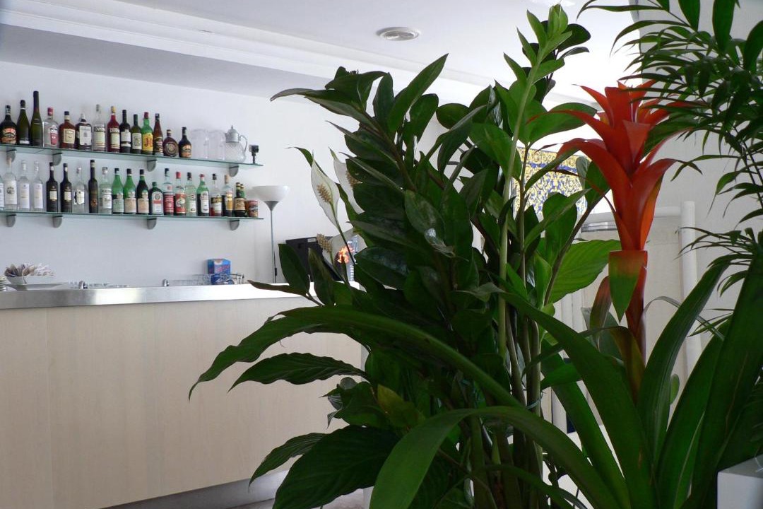 Photo of Others in Milano Marittima