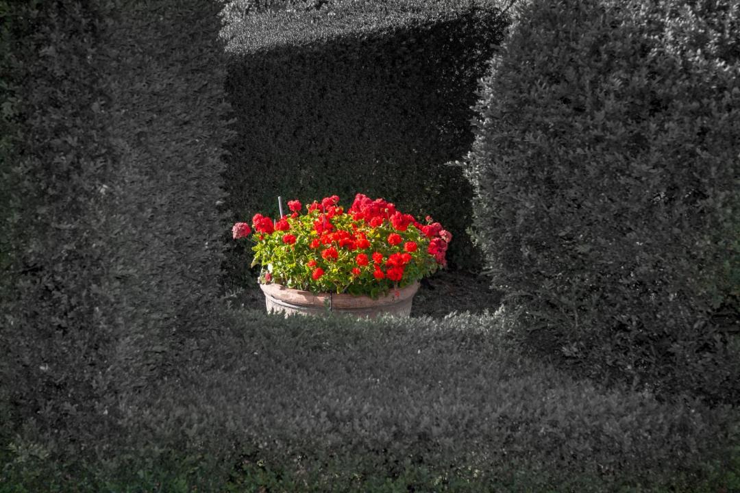 Photo of Others in Casciana Terme