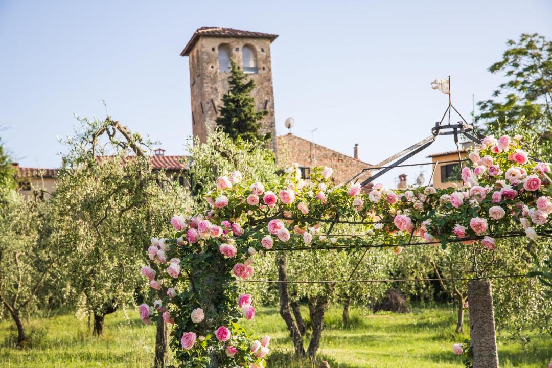 Photo of Others in Casciana Terme