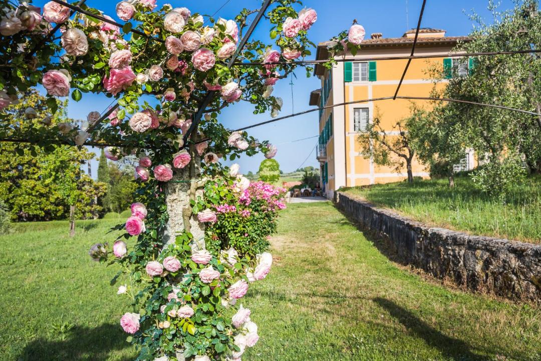 Photo of Others in Casciana Terme