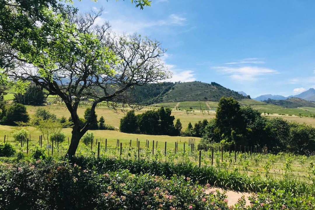 Photo of Others in Stellenbosch