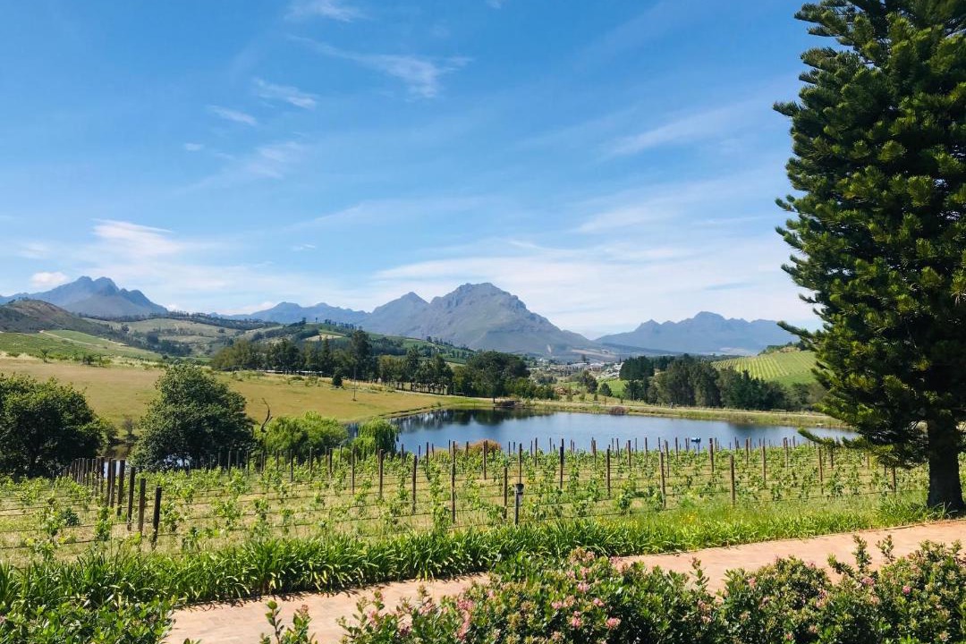 Photo of Others in Stellenbosch