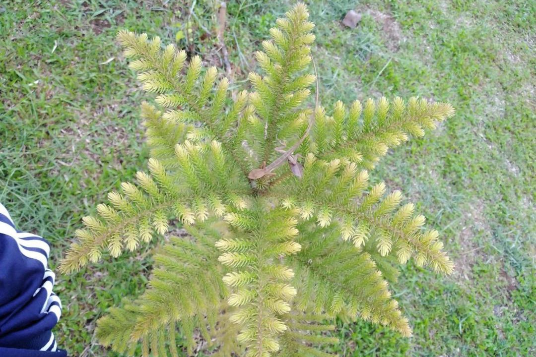 Photo of Others in Khao Kho