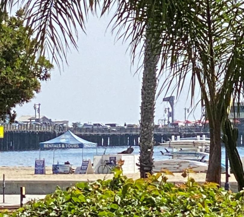 Photo of Others in West Beach