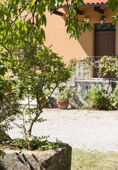 Photo of Others in Farneto