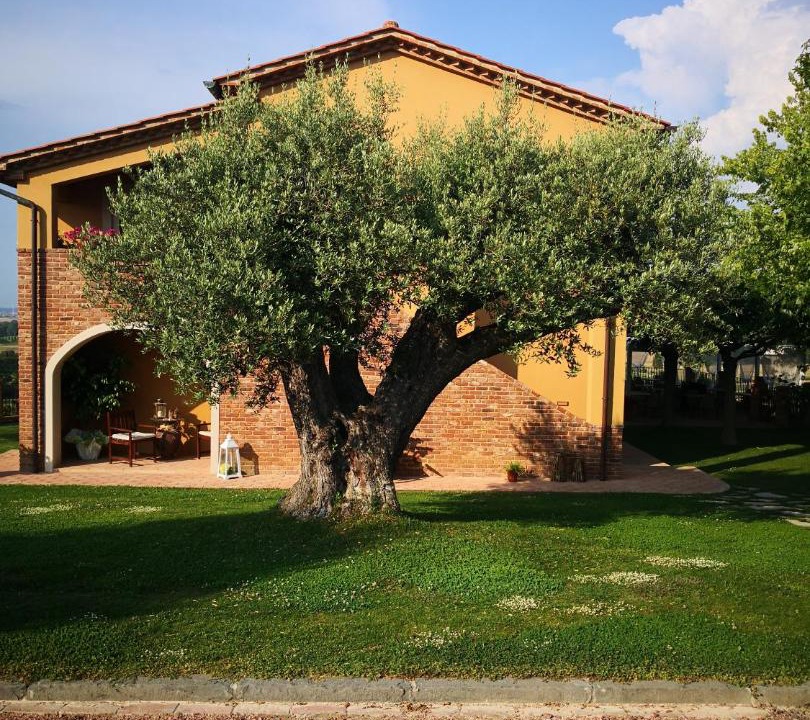 Photo of Buildings in Crespina