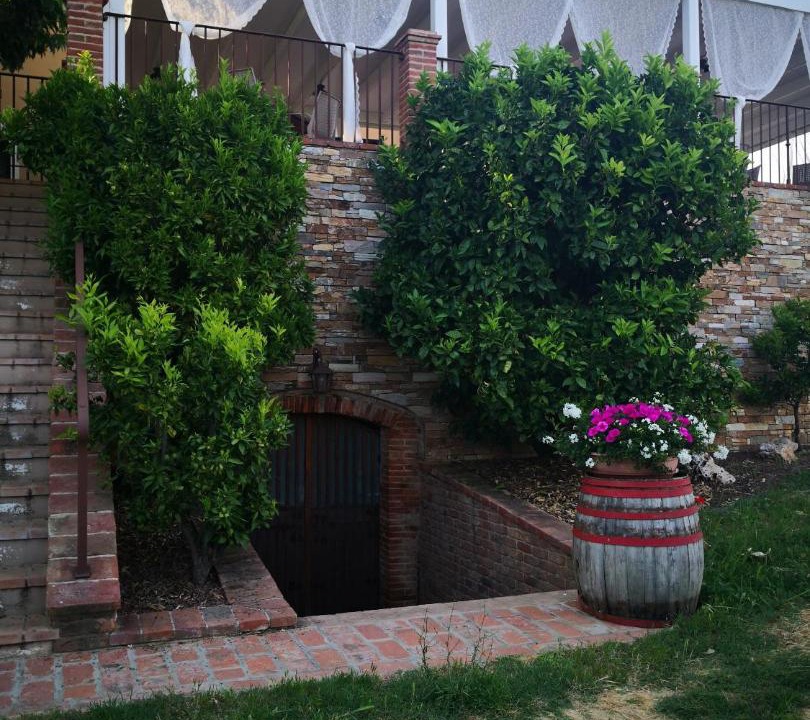 Photo of Buildings in Crespina