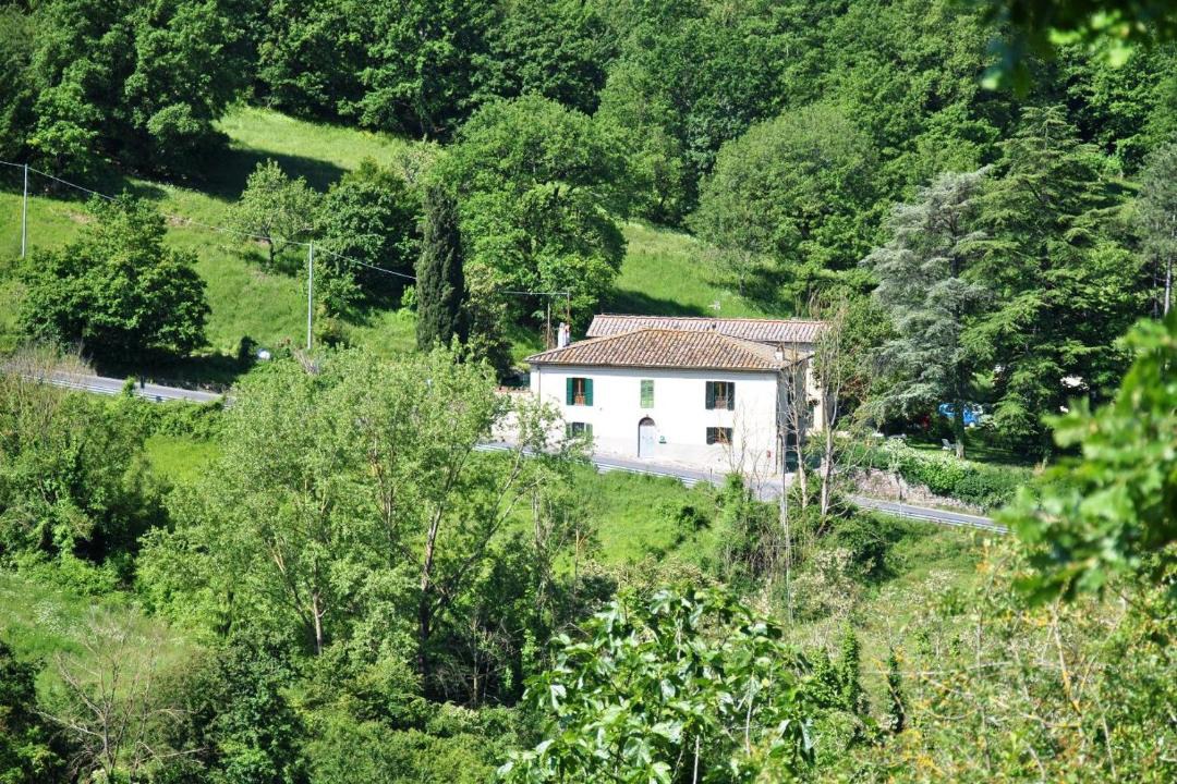 Photo of Others in Pratolino