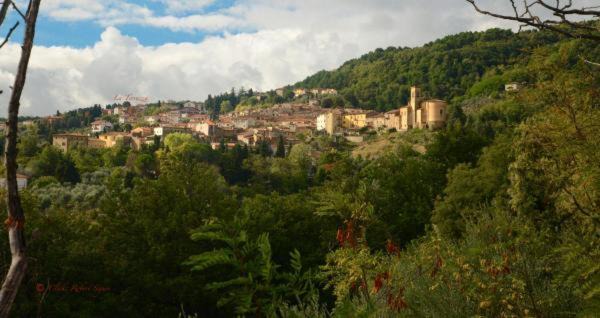 Photo of Outdoor in Chianni
