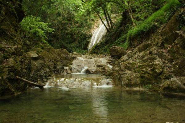 Photo of Outdoor in Chianni