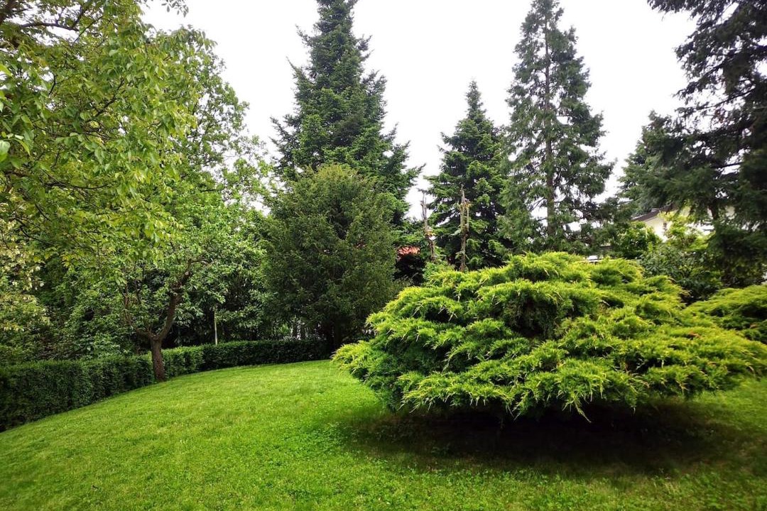 Photo of Others in Borgonuovo