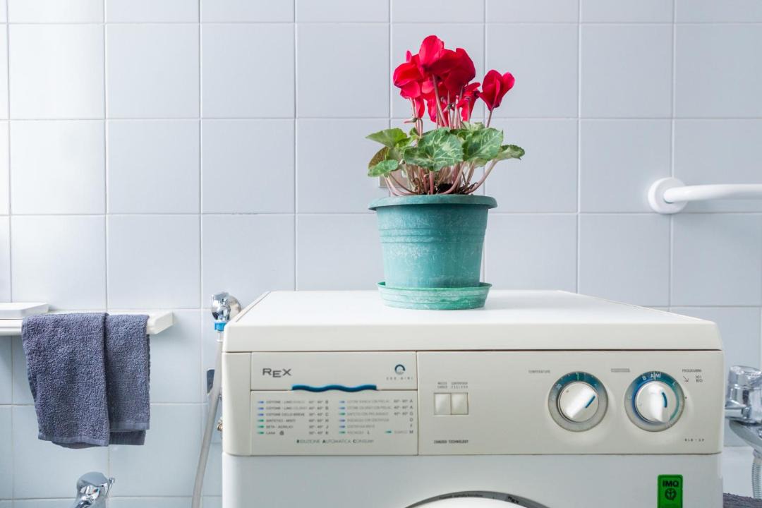 Photo of Bathroom in Parma