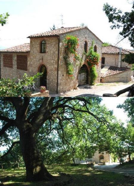 Photo of Others in Colle di Val d'Elsa