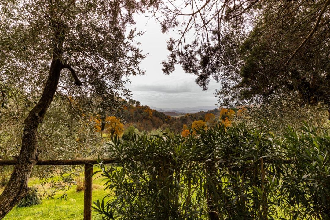 Photo of Outdoor in Palaia