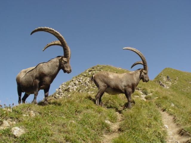 Photo of Others in La Giettaz