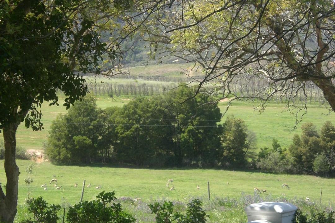 Photo of Others in Stellenbosch
