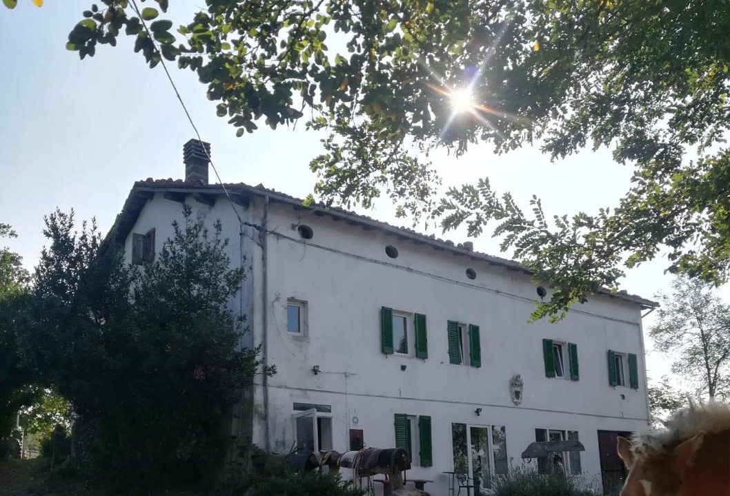 Photo of Others in Marzabotto