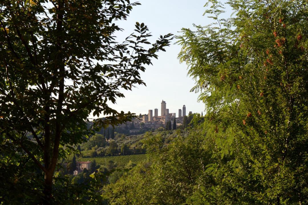 Photo of Others in San Gimignano
