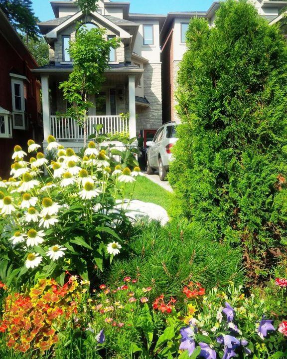 Photo of Others in Upper Beaches