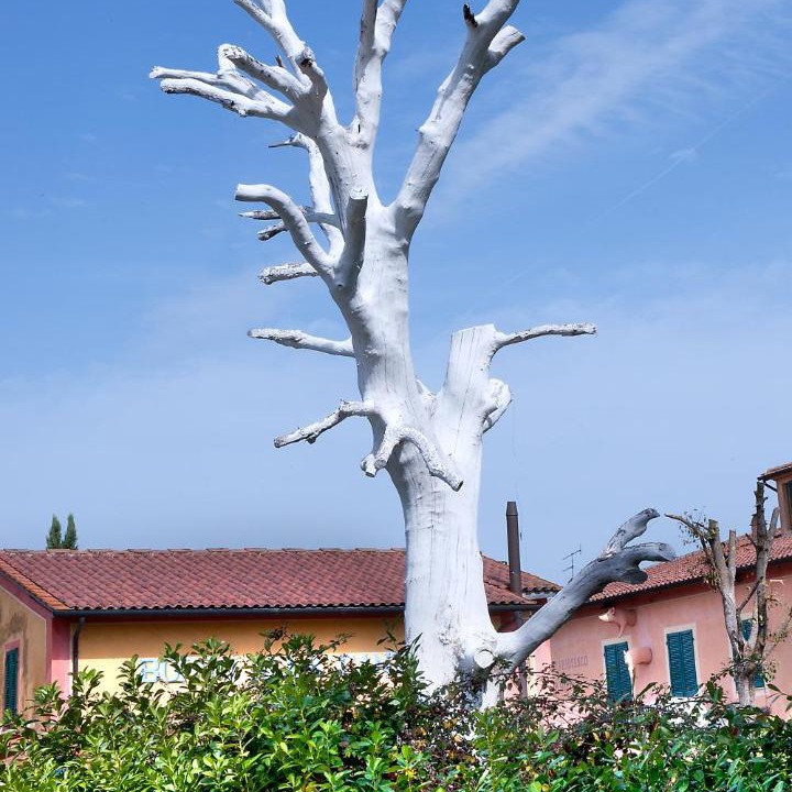 Photo of Others in San Gervasio