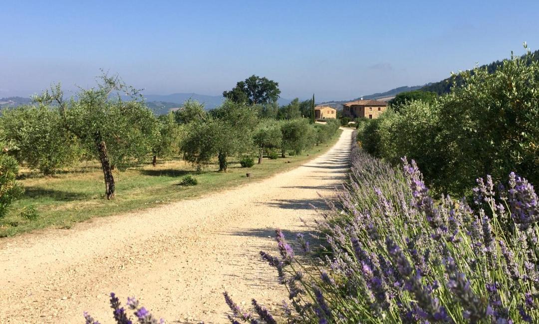 Photo of Outdoor in Radicondoli