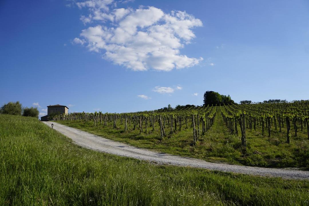 Photo of Others in San Gimignano