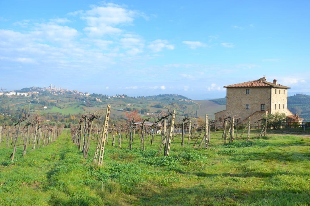 Photo of Others in San Gimignano