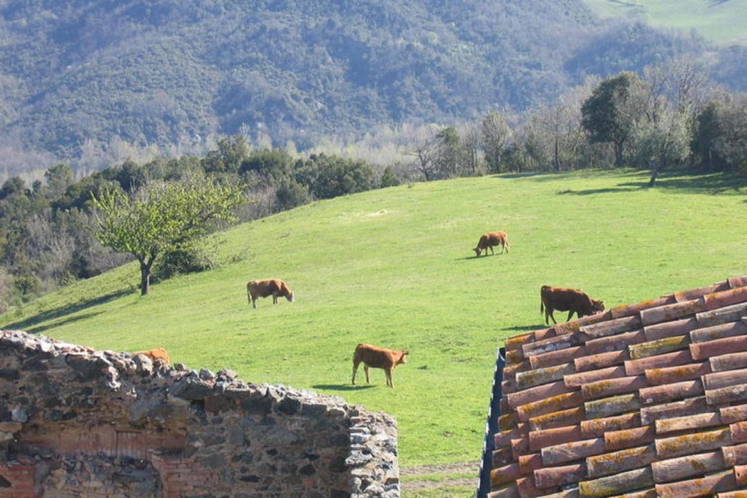 Photo of Others in San Macario In Monte