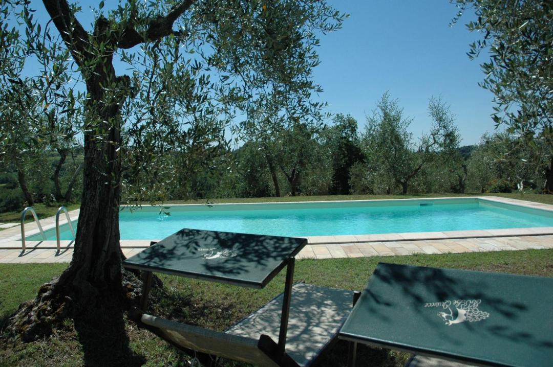 Photo of Others in Palaia
