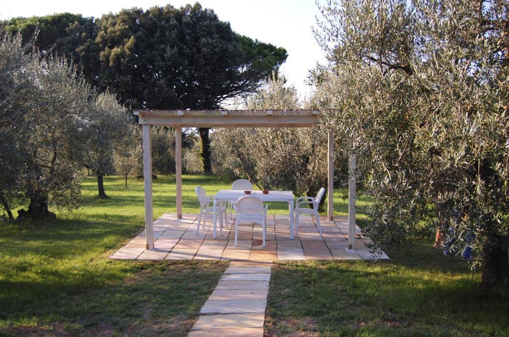 Photo of Others in Palaia