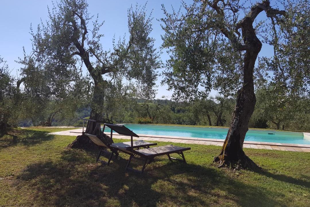 Photo of Others in Palaia