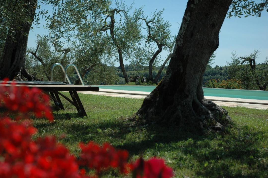 Photo of Others in Palaia
