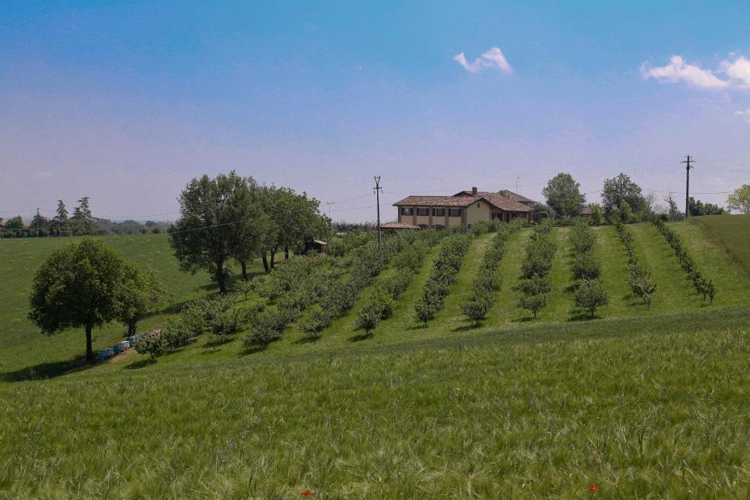 Photo of Others in Borghetto