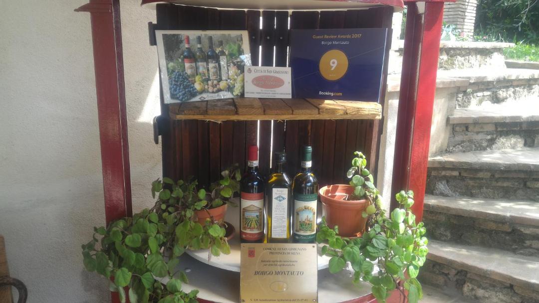 Photo of Others in San Gimignano