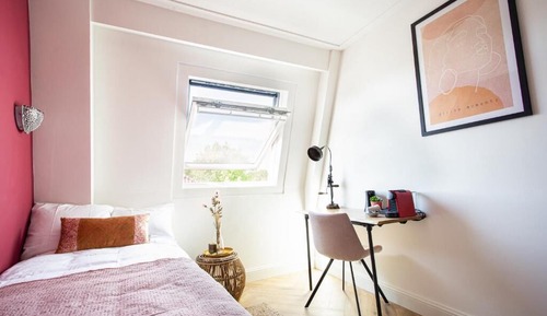 Room, 1 Twin Bed