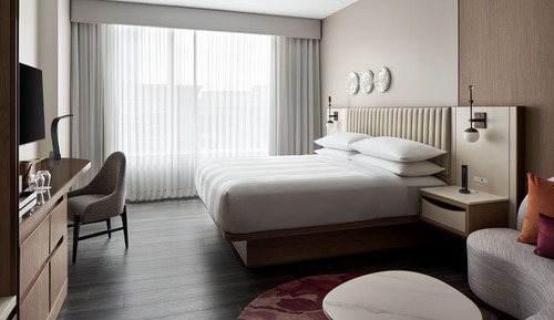 Room, 1 King Bed
