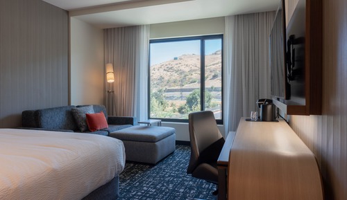 Room, 1 King Bed with Sofa bed