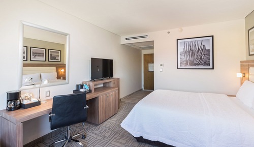 Room, 1 King Bed, Refrigerator