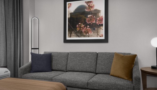 Suite, 1 King Bed, Accessible (Roll In Shower)