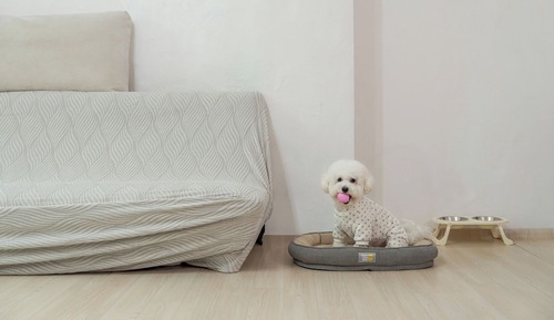 Basic Room, 1 Bedroom (Room 102)