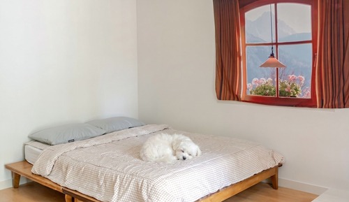 Basic Room, 1 Bedroom (Standard Room2)
