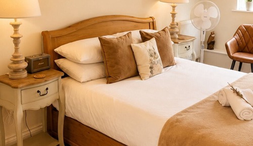 Luxury Room (Owl)