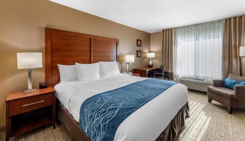 King Room with Roll-In Shower - Accessible/Non-Smoking