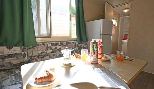 Mobile Home