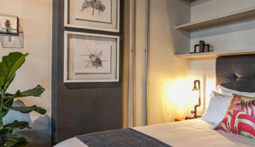 Luxury Apartment