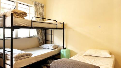 Bed in 6-Bed Female Dormitory Room