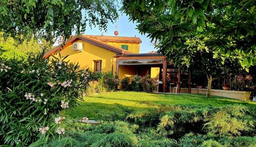 Studio with Garden View