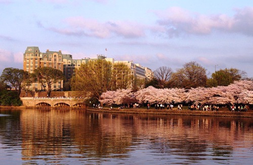 Southwest Federal Center Hotel | Mandarin Oriental Washington DC